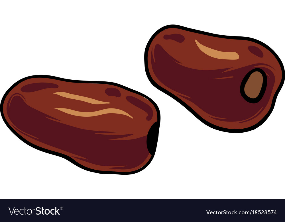 Date Fruit Outline