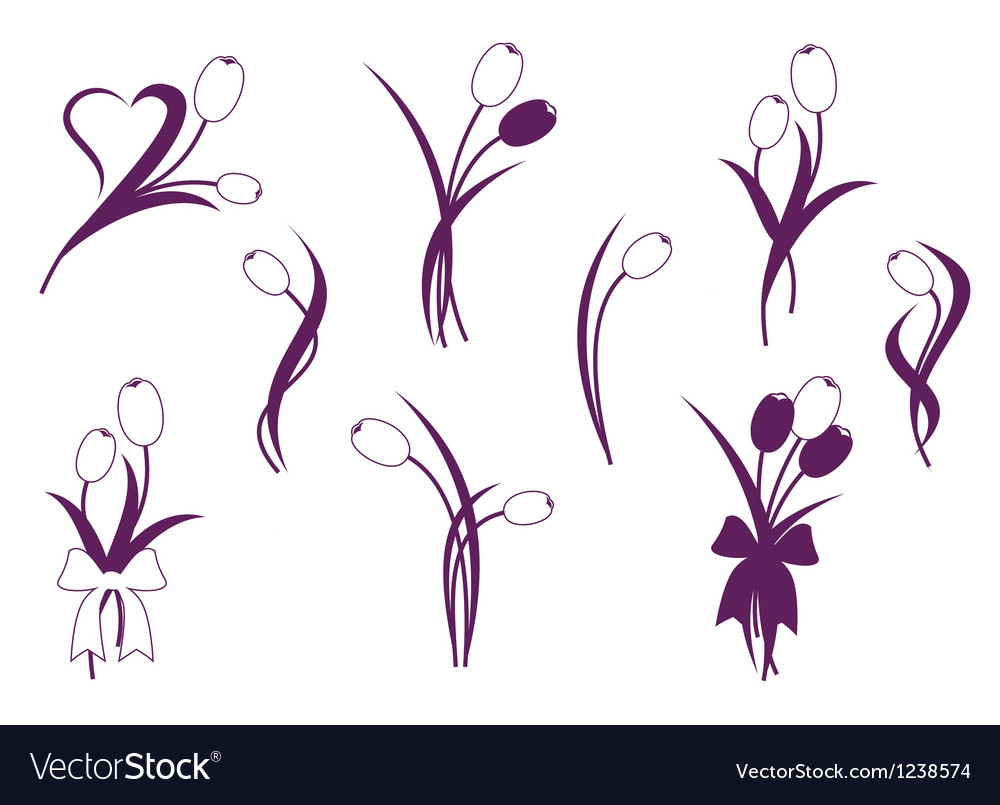 Tulip design elements