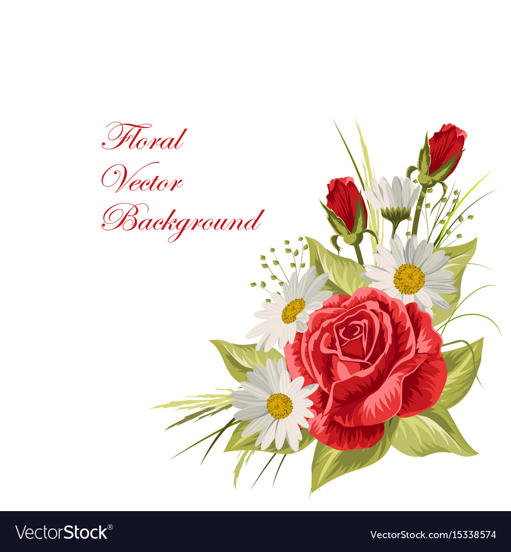 White Daisies and Red Roses