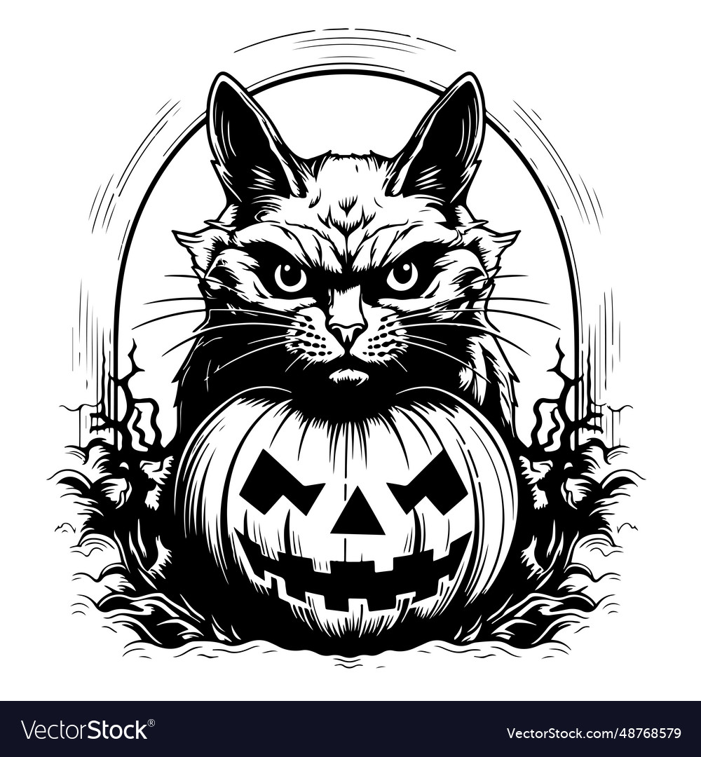 Premium Vector  Angry cat head hand drawing style