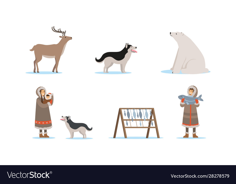 Wild north arctic people and animals