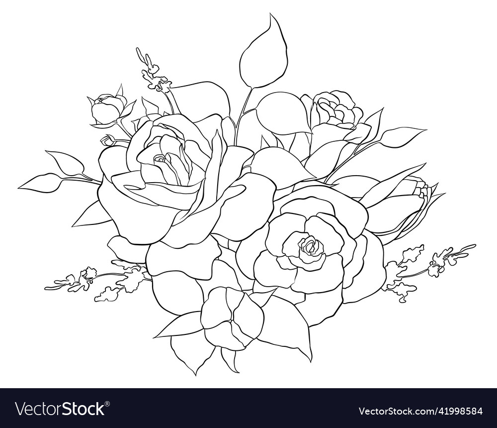 A composition of roses Royalty Free Vector Image