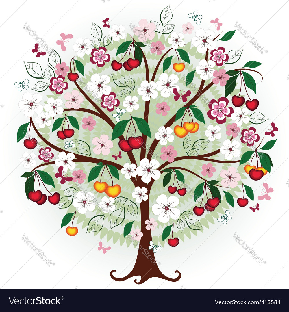 Cherry tree Royalty Free Vector Image VectorStock