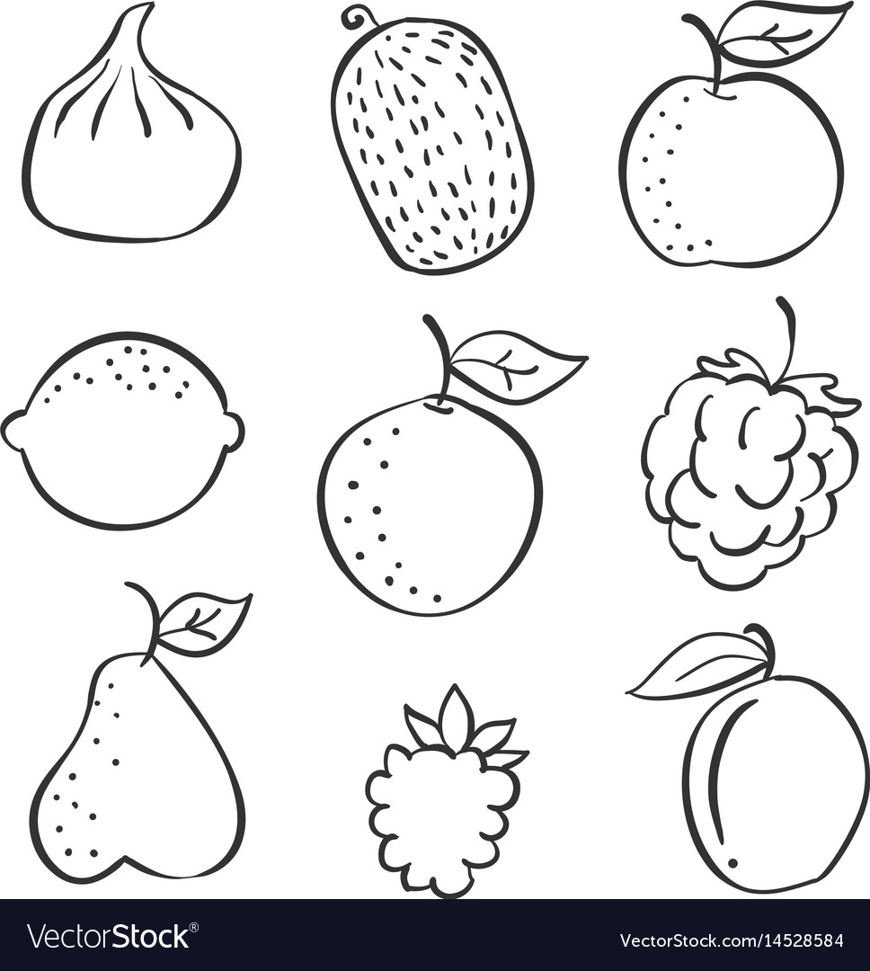 Set of fruit fresh hand draw