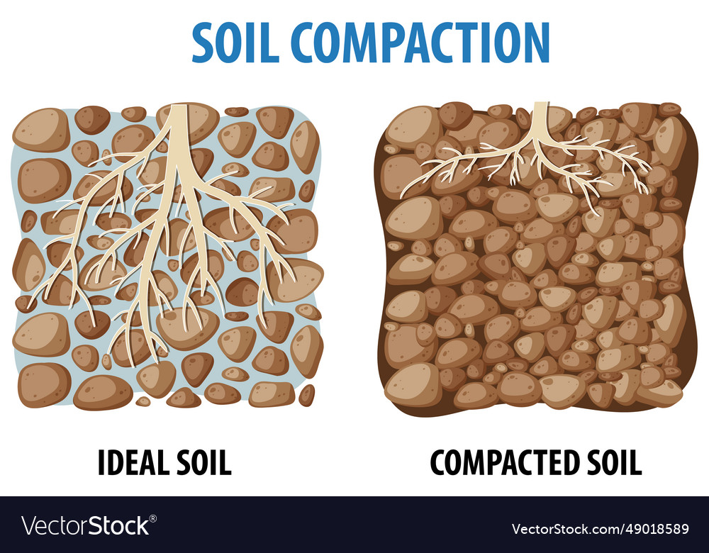 Comparison of soil compaction density in science Vector Image