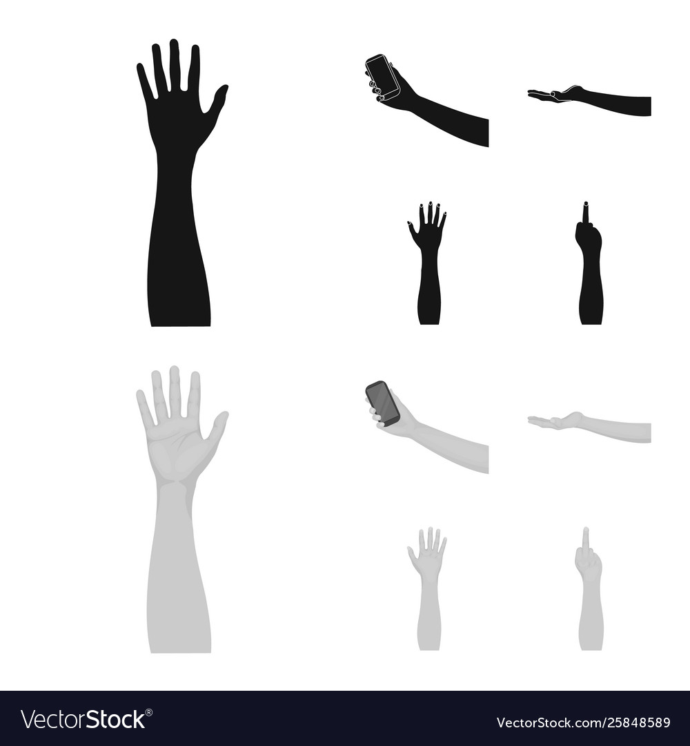 Design and animated symbol collection