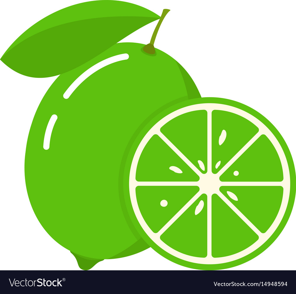 Lime Fruit Slice