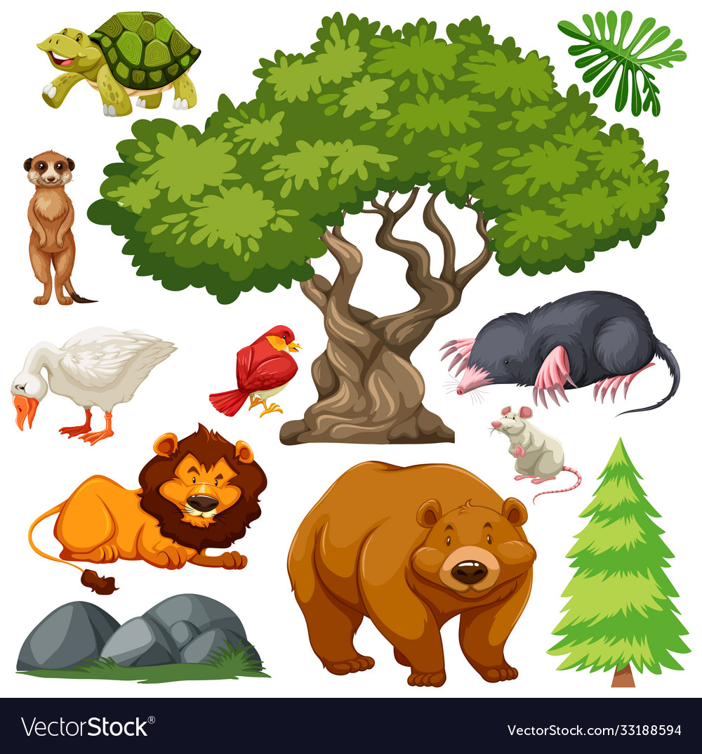 Set cute wild animal and nature