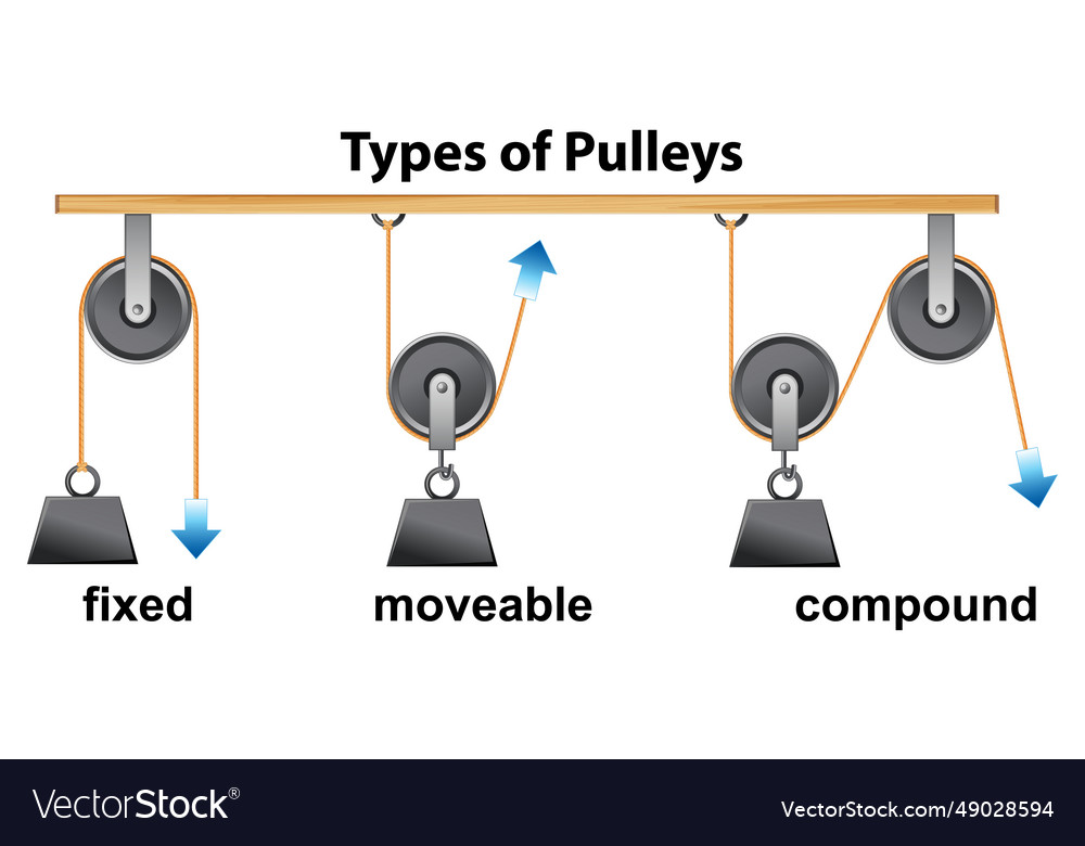 Types of pulleys in science and physics