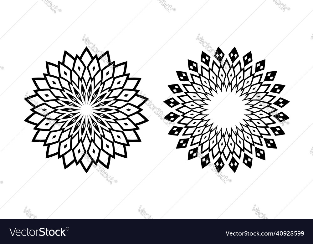 Decorative circle patterns vector image Decorative circle patterns