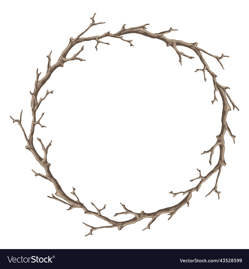 Frame with dry bare branches decorative natural Vector Image