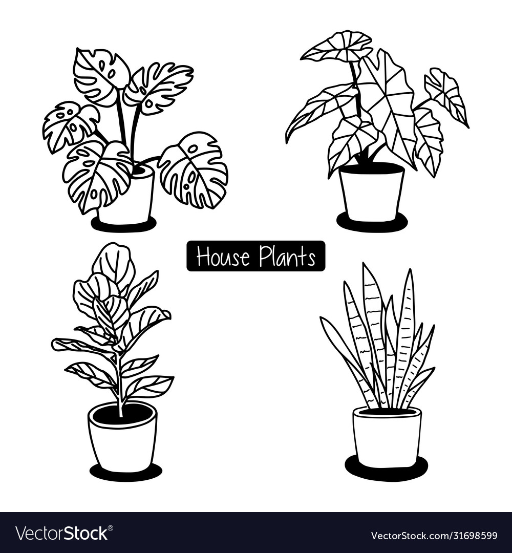 potted plant drawing