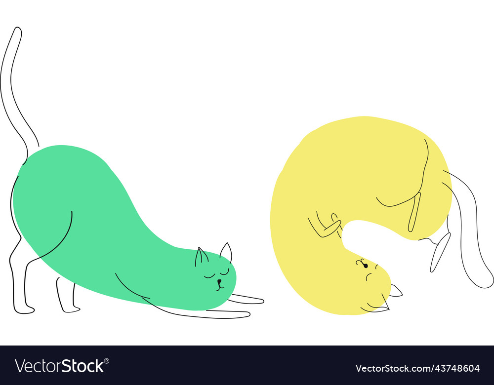 Cat continuous line drawing simple contour