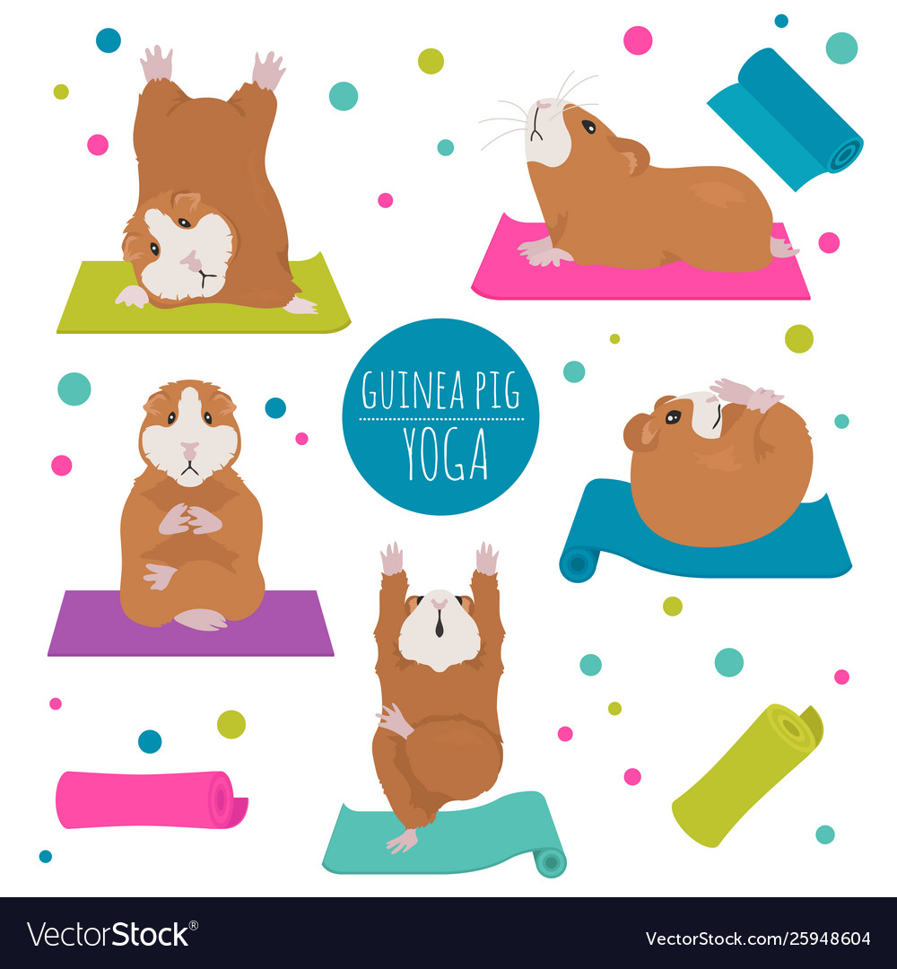 wallpapers Cartoon Cute Guinea Pig Pictures vectorstock