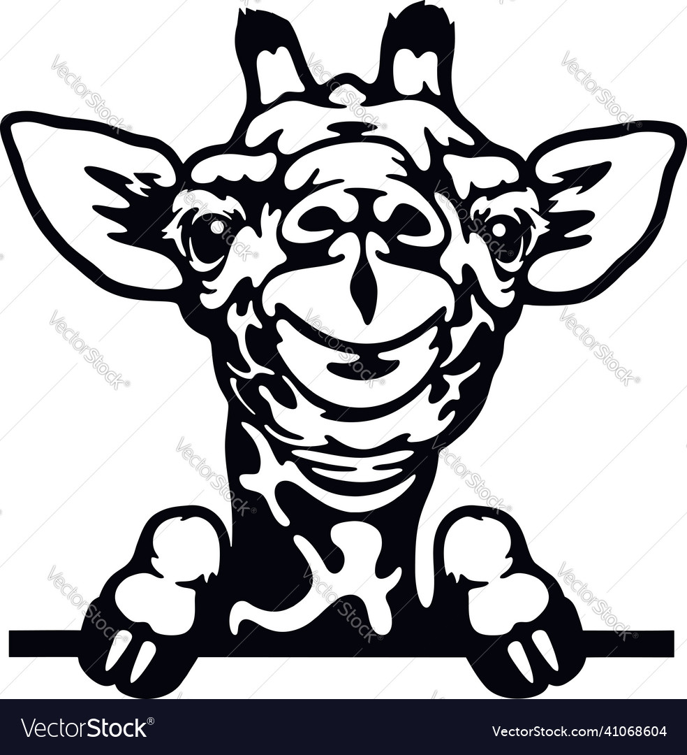 Peeking giraffe - funny wild animal out