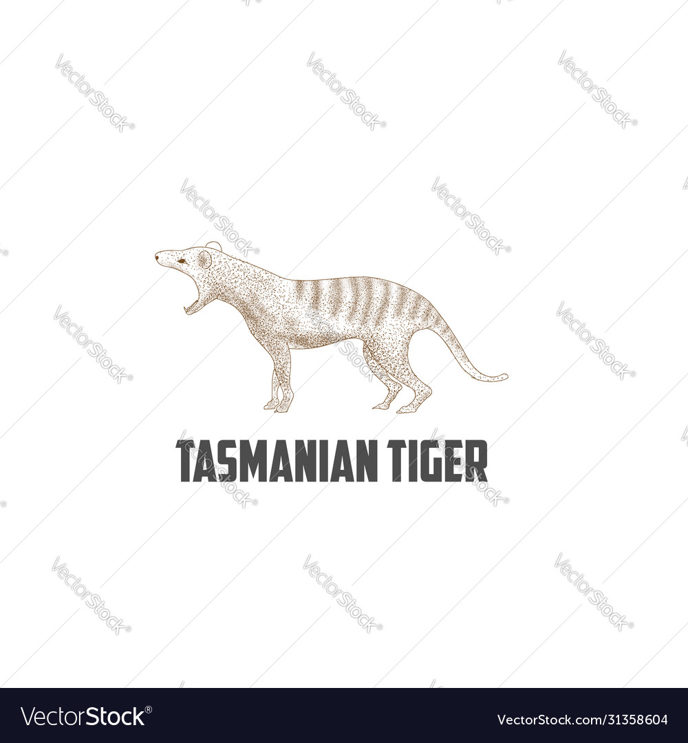 Vintage retro australian tasmanian tiger logo desi