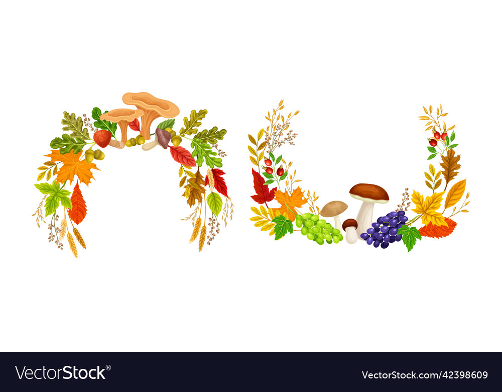 Bright autumn foliage with berry and mushroom