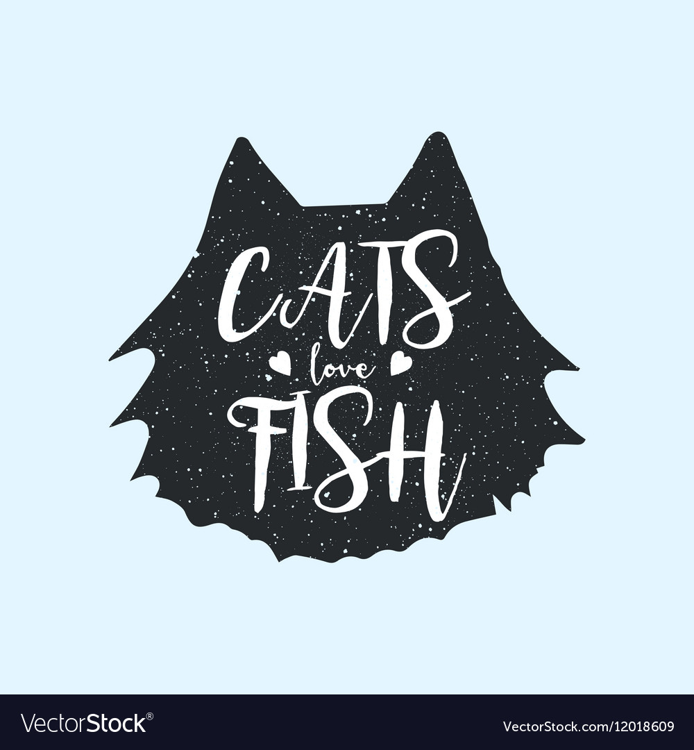 cats love fish