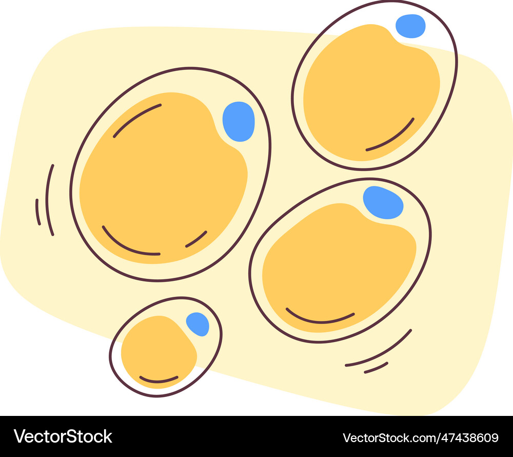 Fat human cells Royalty Free Vector Image - VectorStock