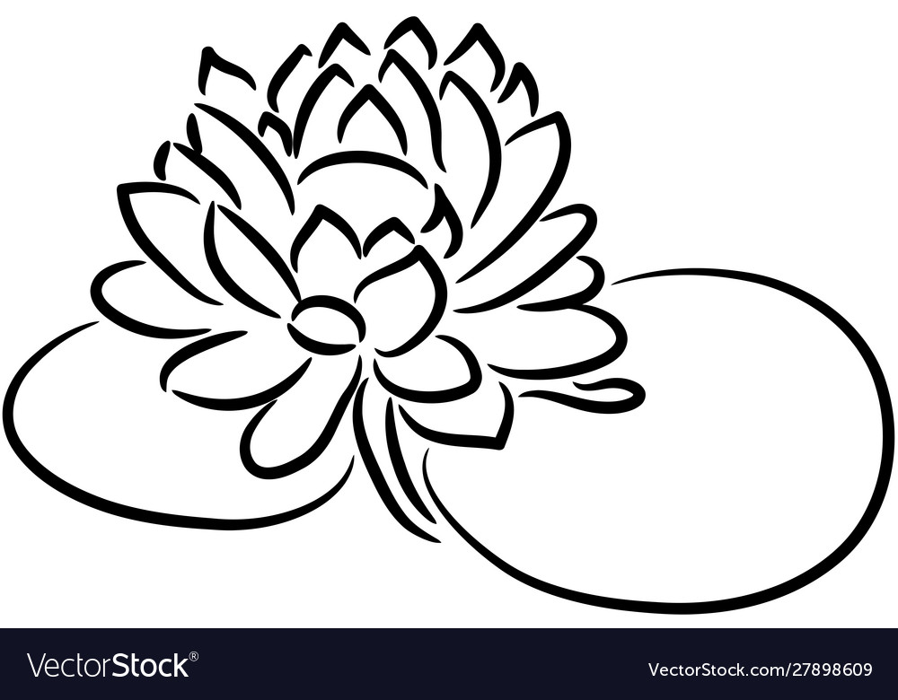 Lotus flower