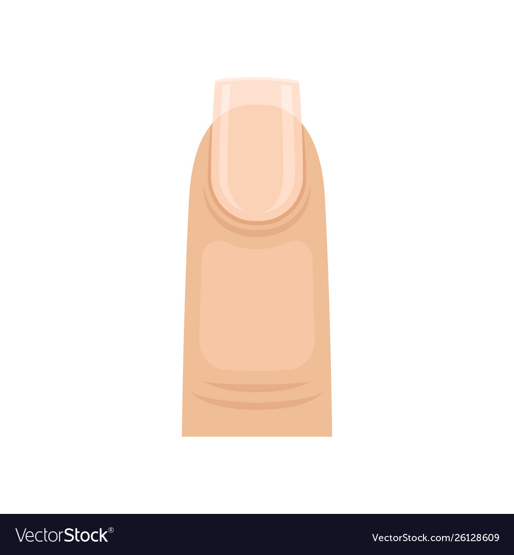 Nail with sharp corners and a smooth edge Vector Image