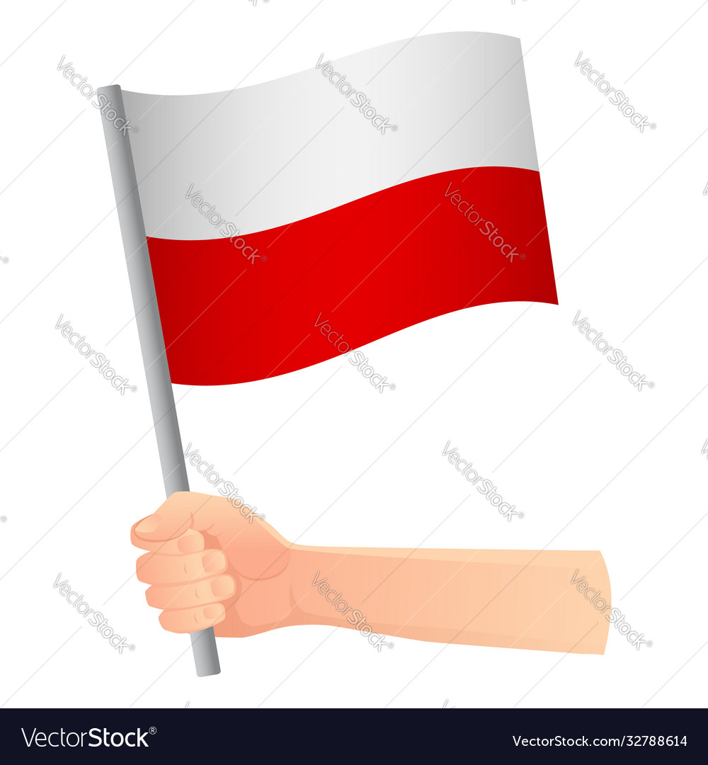 Poland flag in hand