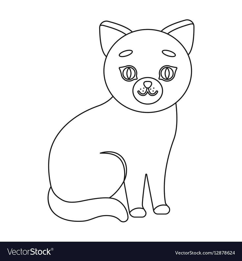 Cat icon of for web and mobile