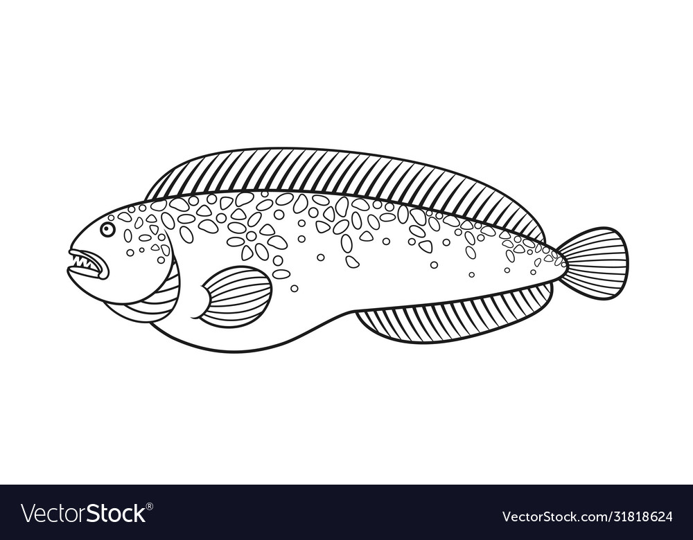 Catfish Royalty Free Vector Image - VectorStock