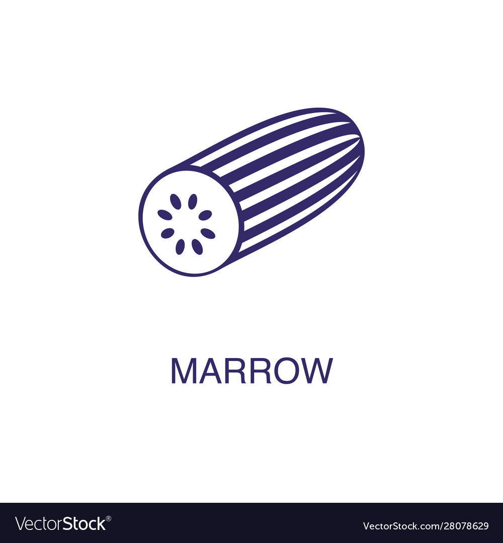 Marrow element in flat simple style on white