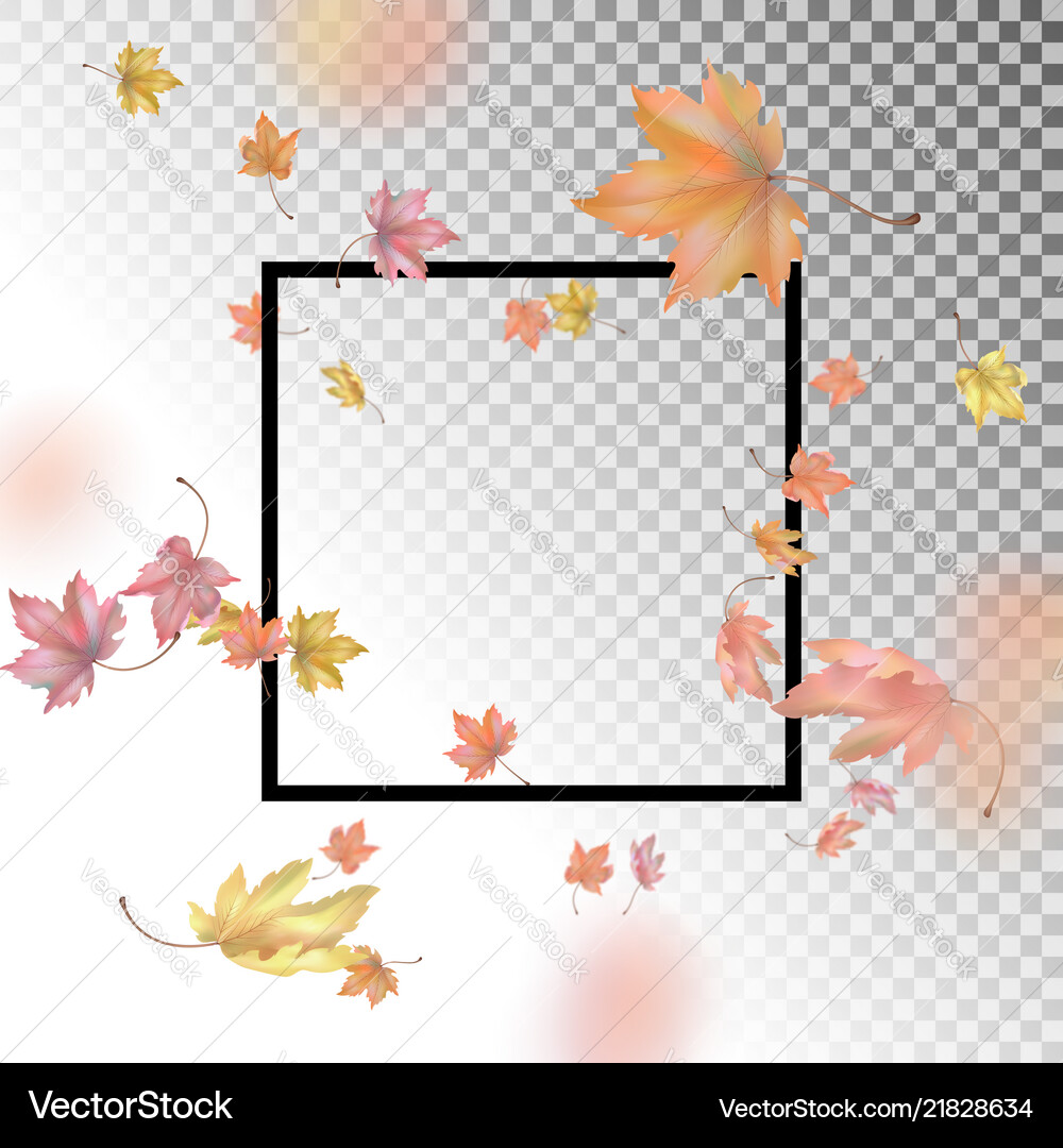 Frame with autumn leaves Royalty Free Vector Image