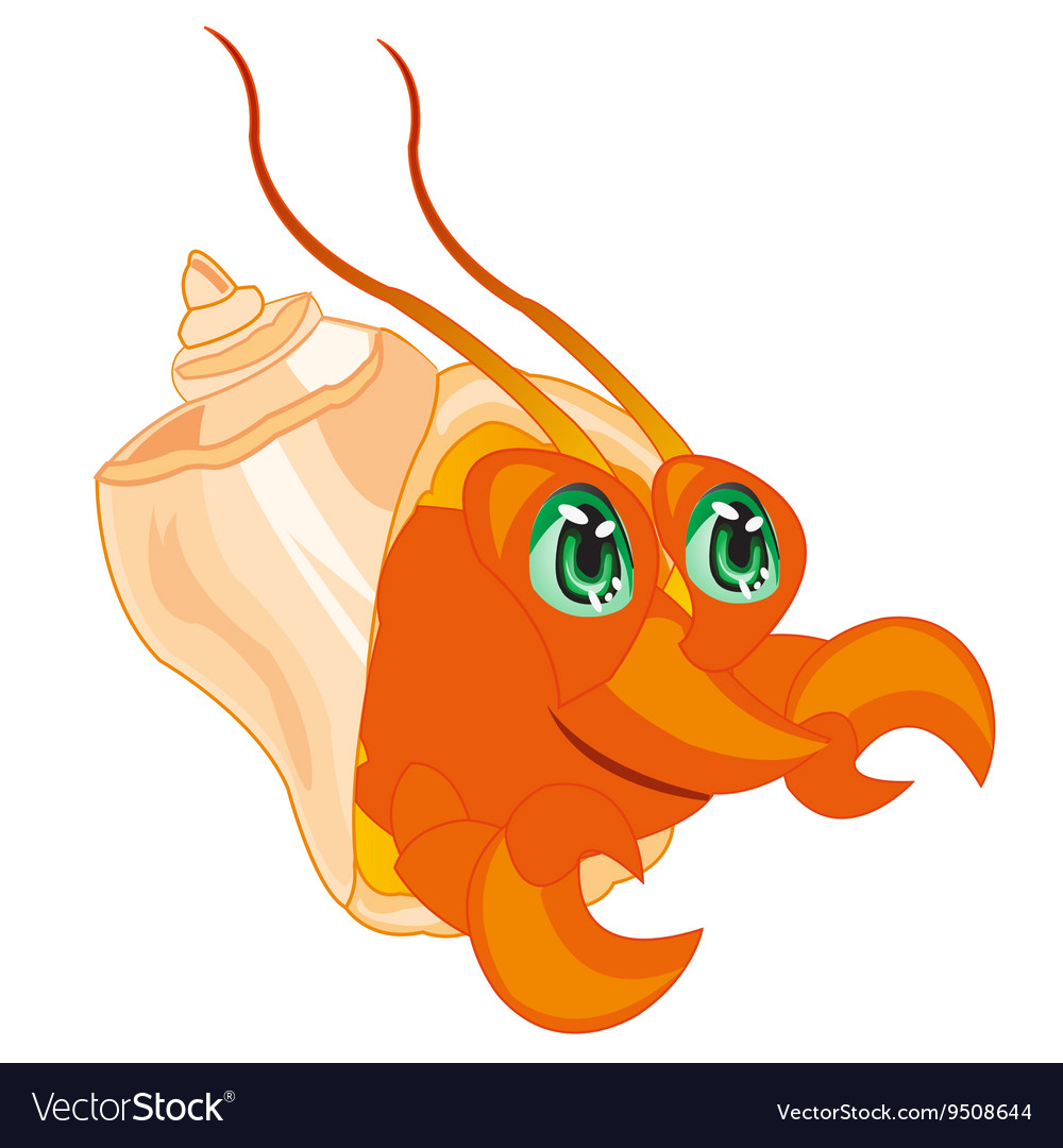 Crab in seashell