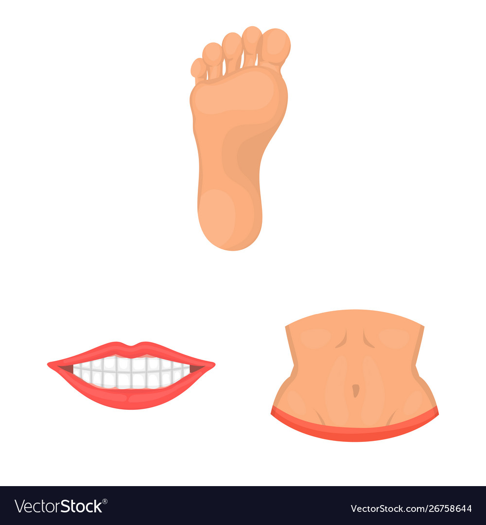 Design body and part symbol set