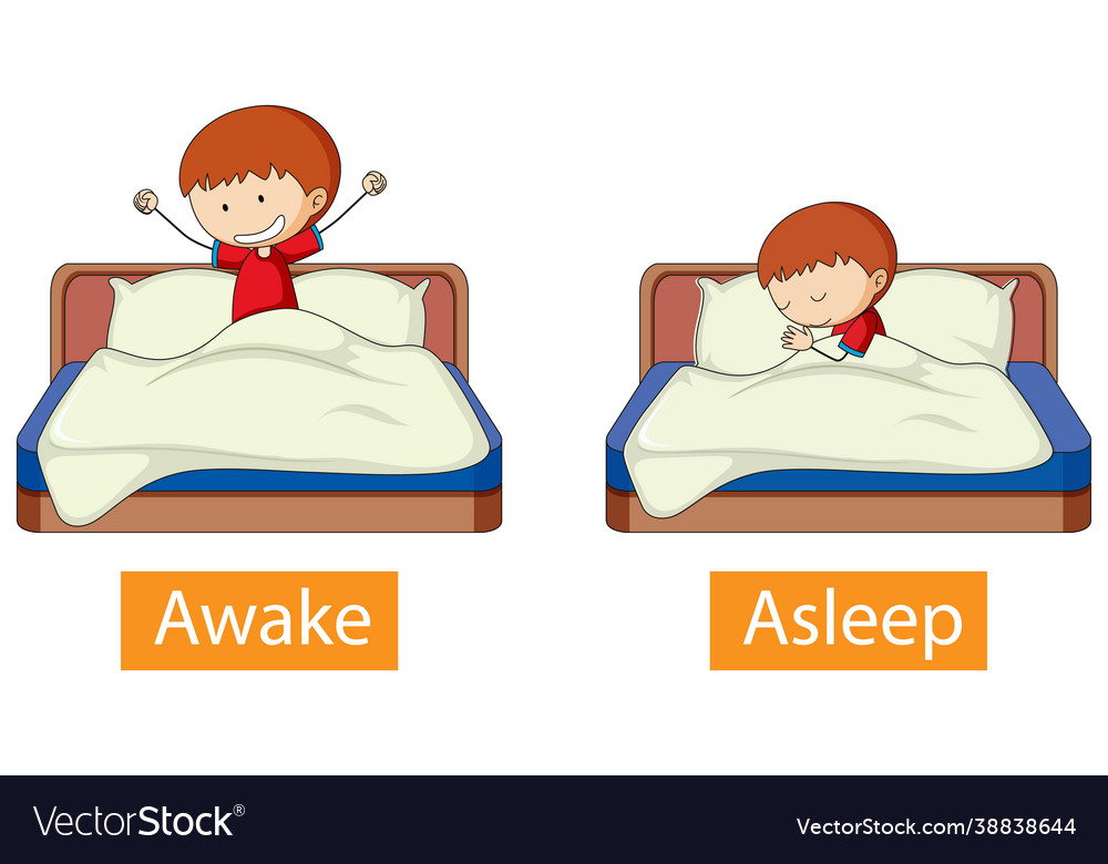 Opposite words with awake and asleep Royalty Free Vector