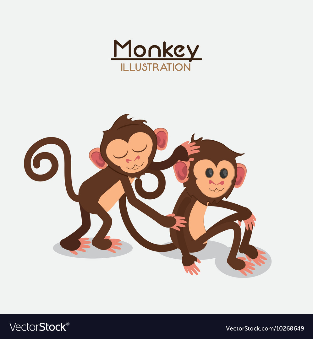 Monkey couple cartoon animal design Royalty Free Vector