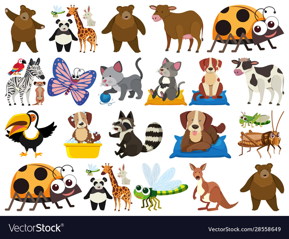Set isolated objects theme animals