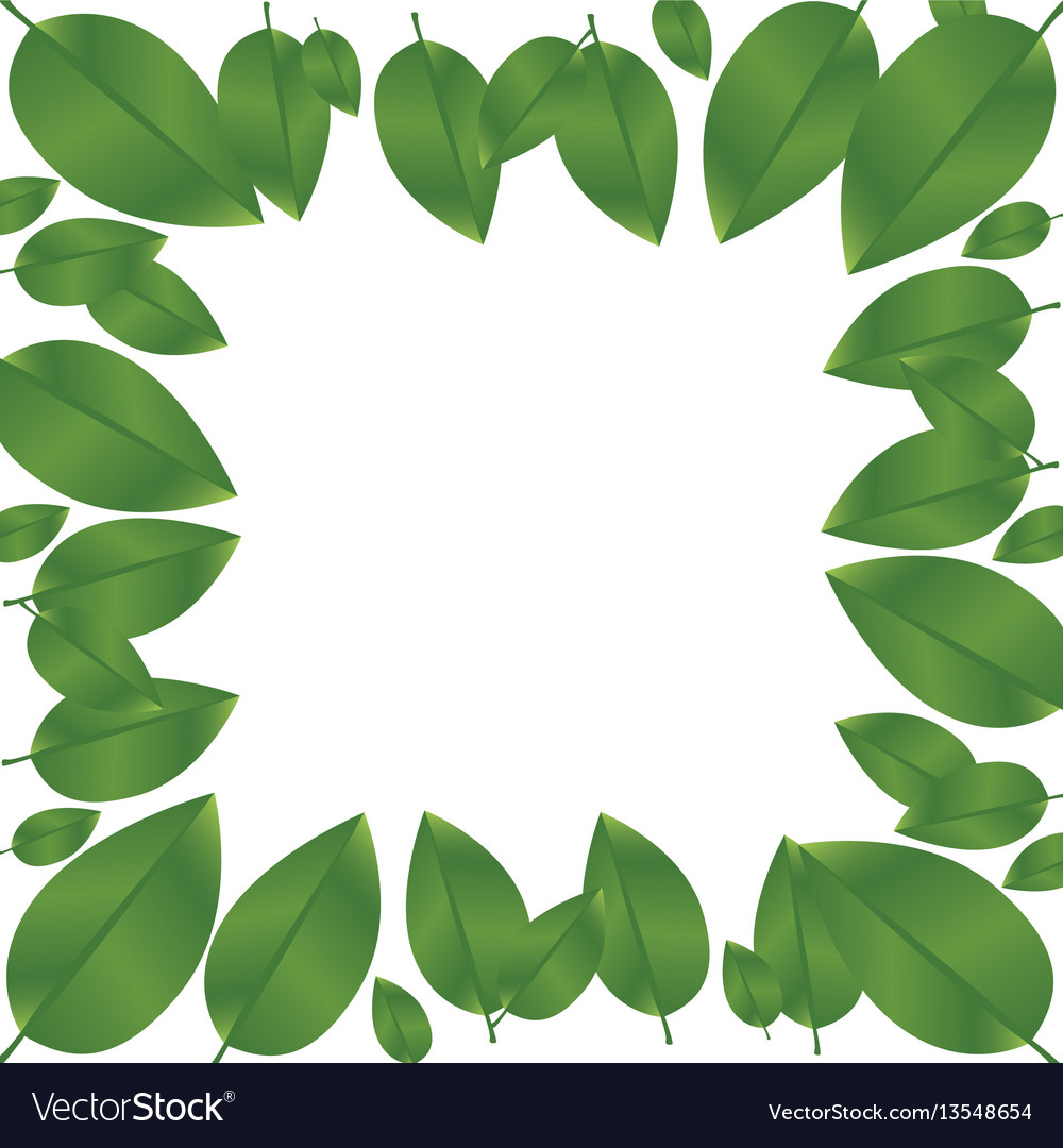 Border green leaves with branch nature icon Vector Image