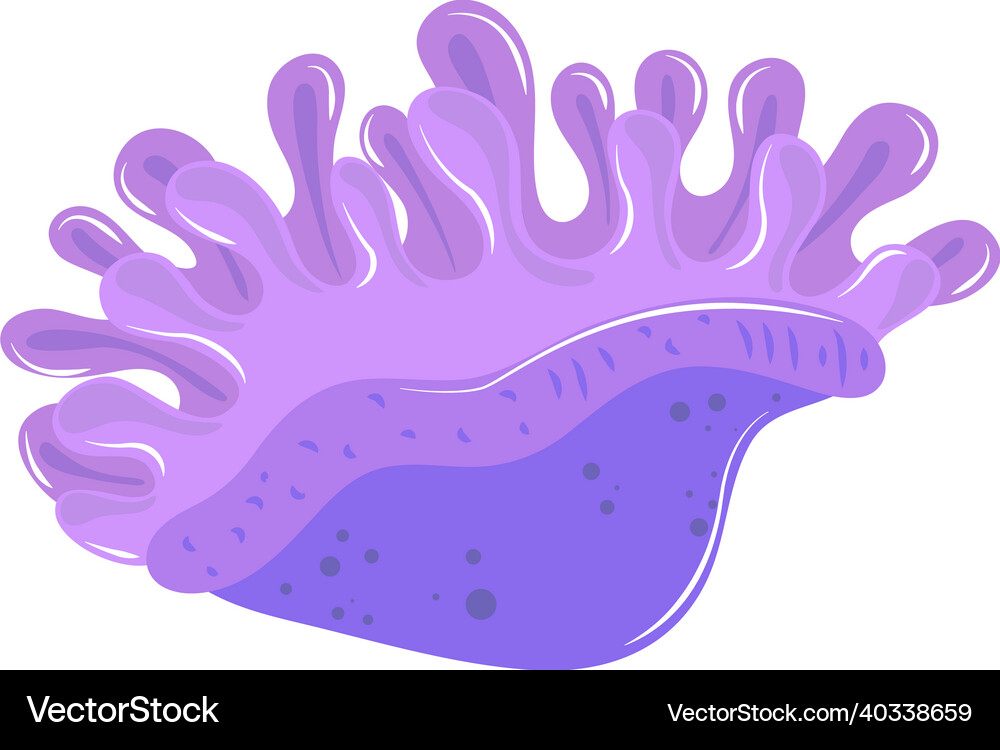 Underwater world life Royalty Free Vector Image