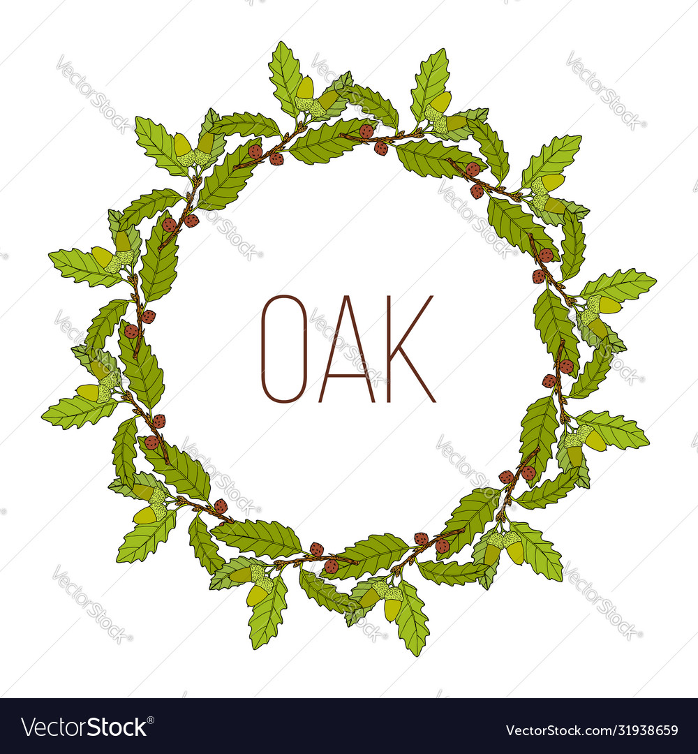 Wreath with aleppo oak branch