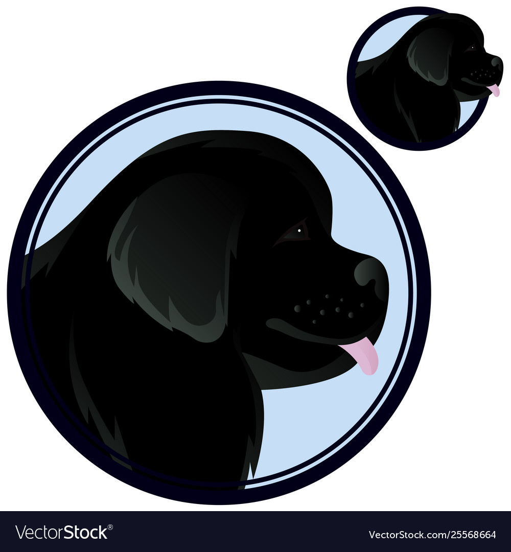 Newfoundland dog head in circle