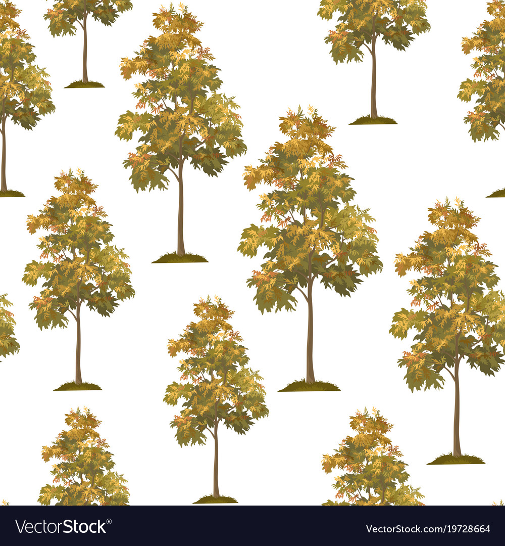 Tree Pattern on White Background