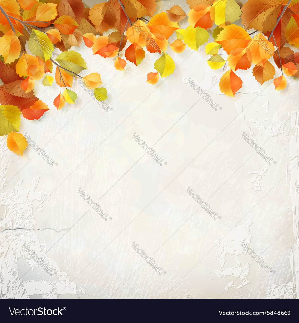 Autumn Plaster Wall Texture