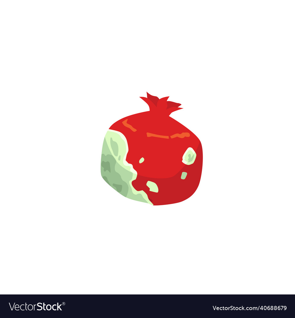 Rotten pomegranate with mold bacteriums spoiled
