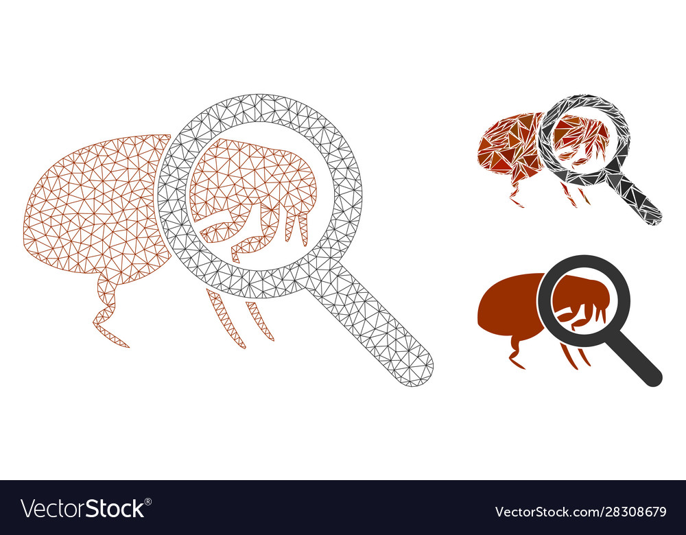 Total flea control mesh network model vector image Total flea control mesh network model