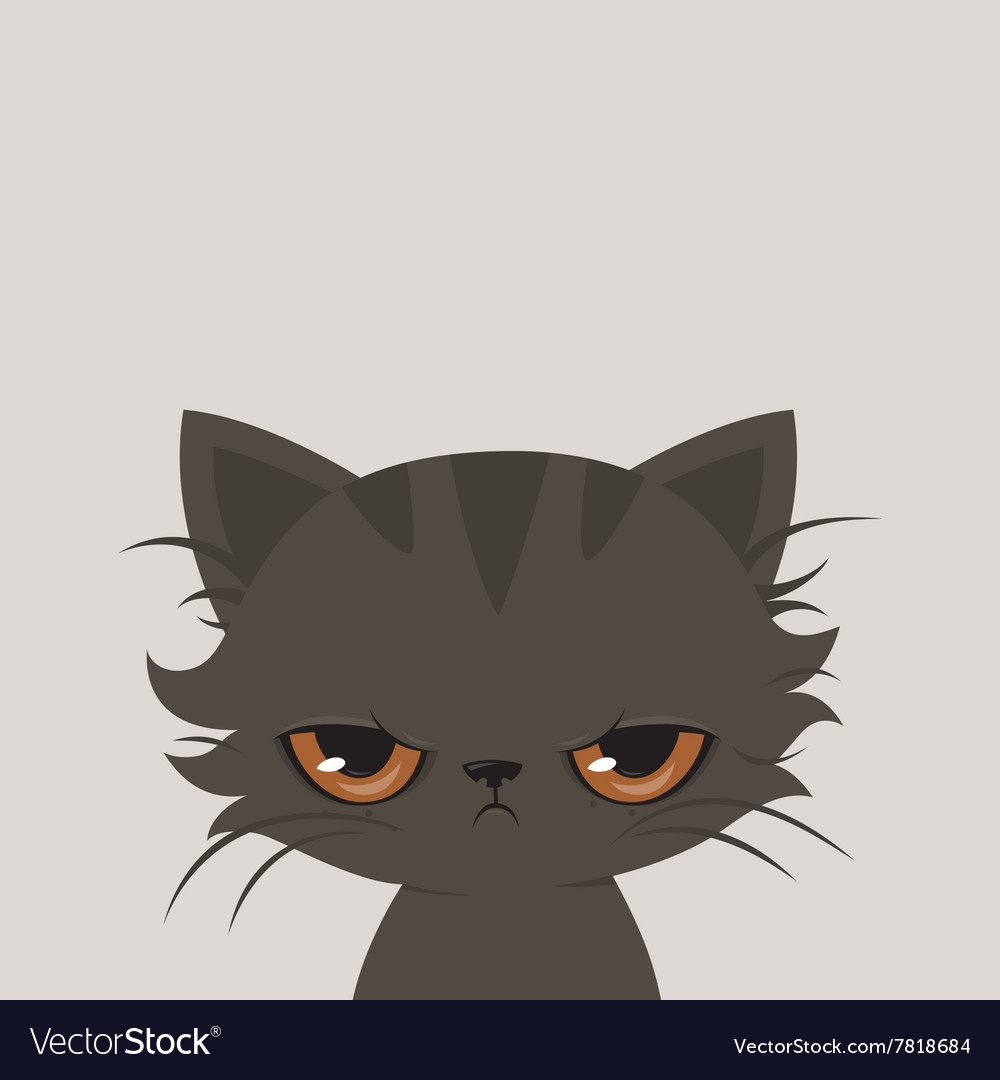 Angry cat cartoon cute grumpy Royalty Free Vector Image