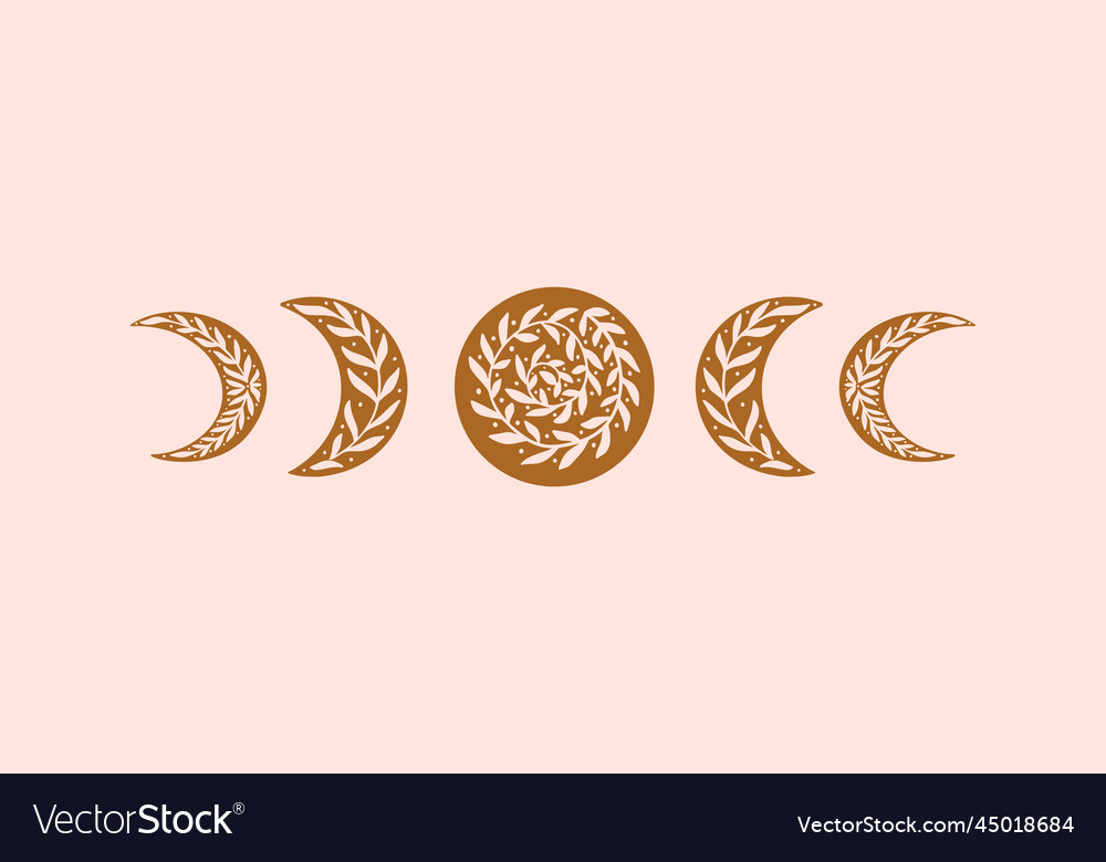 Floral Moon Phase Trendy Royalty Free Vector Image Floral Moon Phase Trendy Royalty Free Vector Image