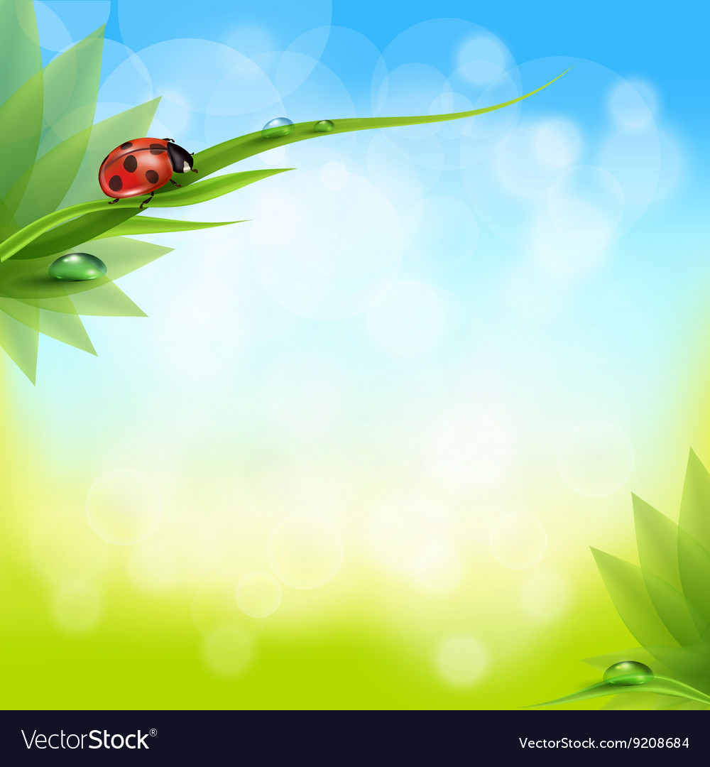 Green Grass And Leaves On A Blurred Background Of Vector Image