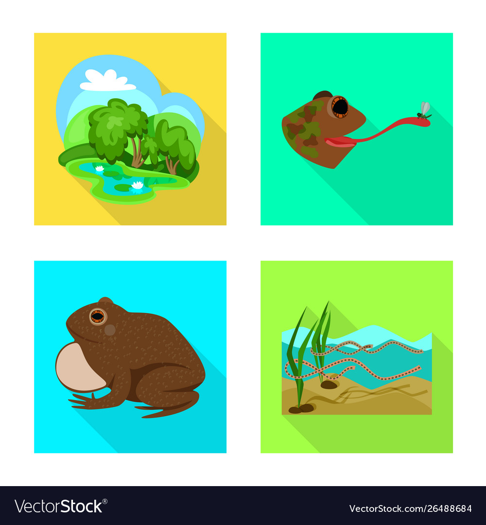 Isolated object wildlife and bog sign set Vector Image Isolated object wildlife and bog sign set