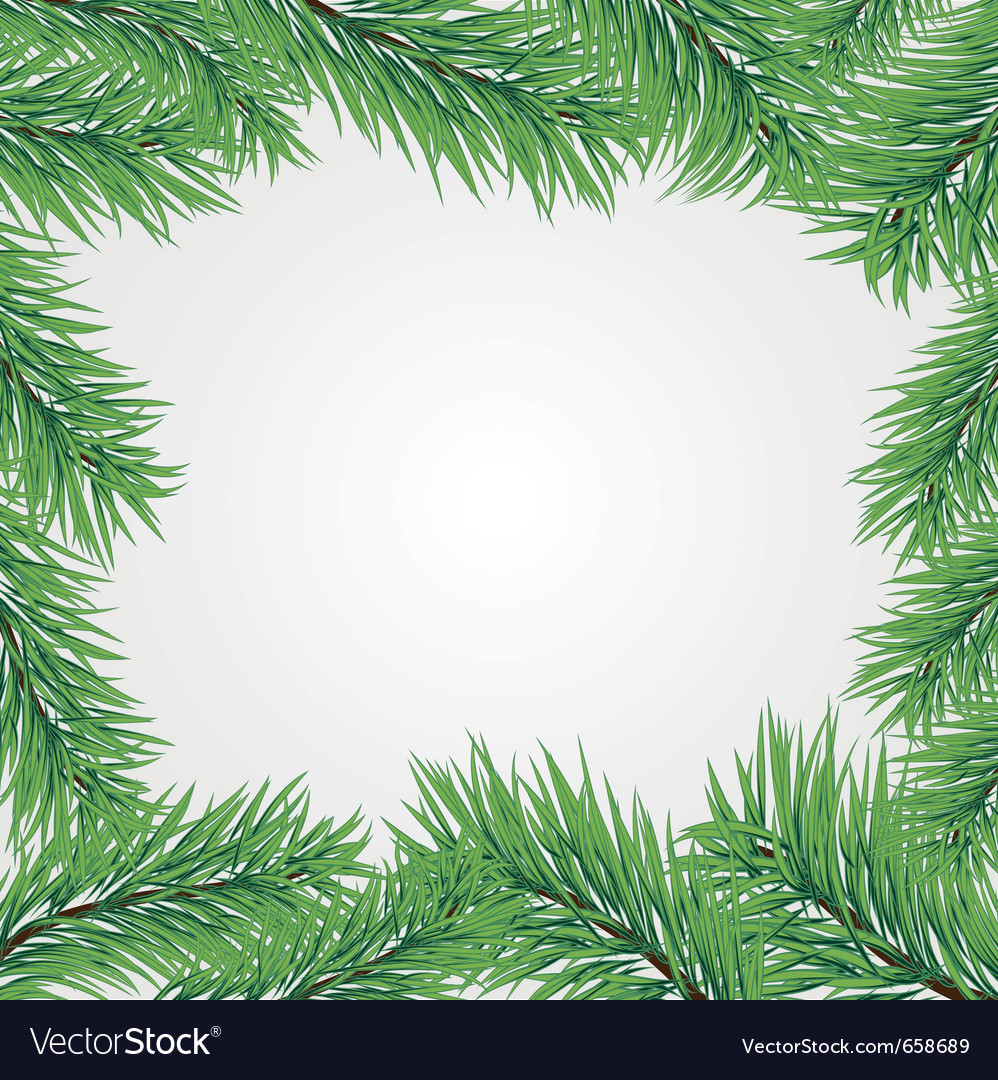 Frame with christmas tree branch Royalty Free Vector Image