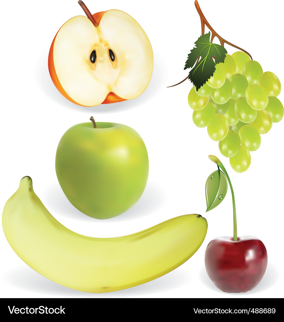 Fruit set Royalty Free Vector Image - VectorStock
