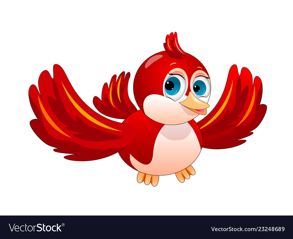 Red bird on white background